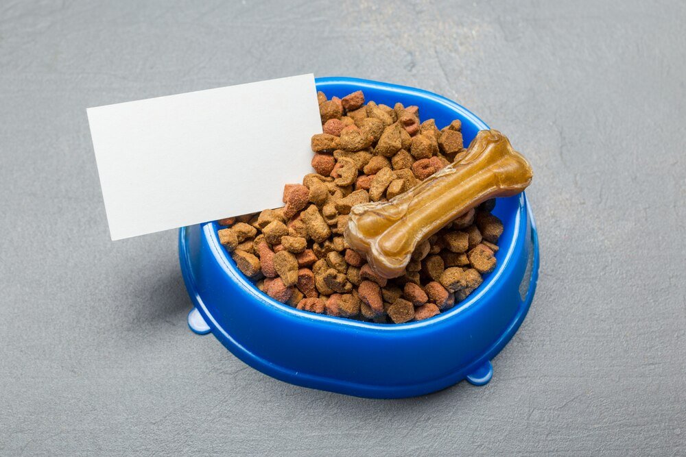 Karma Royal Canin Gastro Intestinal – co warto wiedzieć o posiłkach specjalistycznych dla psów